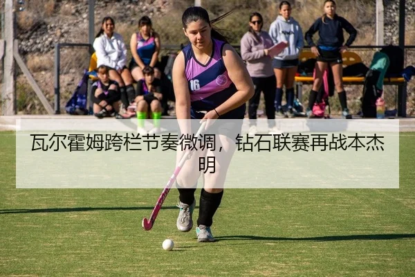 wa-er-huo-mu-kua-lan-jie-zou-wei-diao-zuan-shi-lian-sai-zai-zhan-ben-jie-ming-2-867.jpg